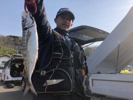 由良渡船 釣果