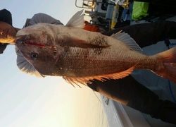 ディープ オーシャン 釣果