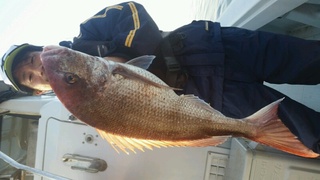 ディープ オーシャン 釣果