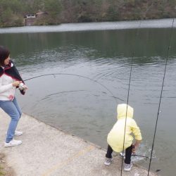 フィッシングレイクたかみや 釣果