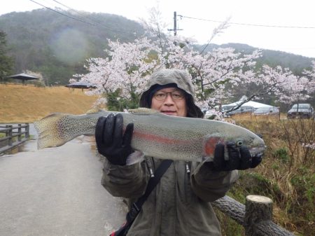 フィッシングレイクたかみや 釣果