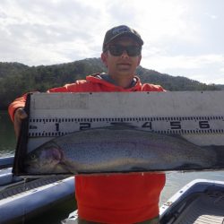 フィッシングレイクたかみや 釣果