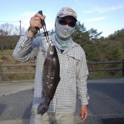 フィッシングレイクたかみや 釣果