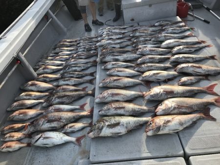 寿裕 （YOSHIHIRO） 釣果