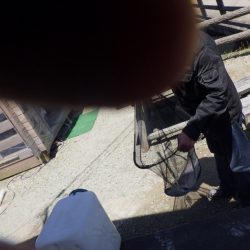 フィッシングレイクたかみや 釣果