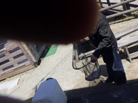 フィッシングレイクたかみや 釣果