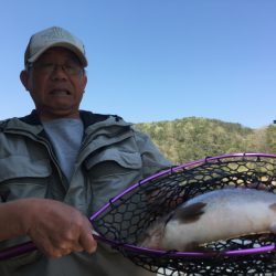 フィッシングレイクたかみや 釣果