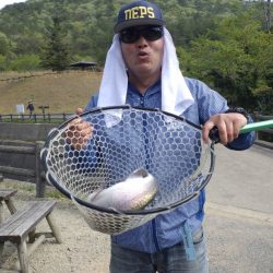 フィッシングレイクたかみや 釣果