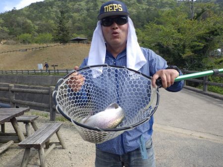 フィッシングレイクたかみや 釣果