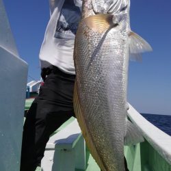 遊漁船 新鋭丸 釣果
