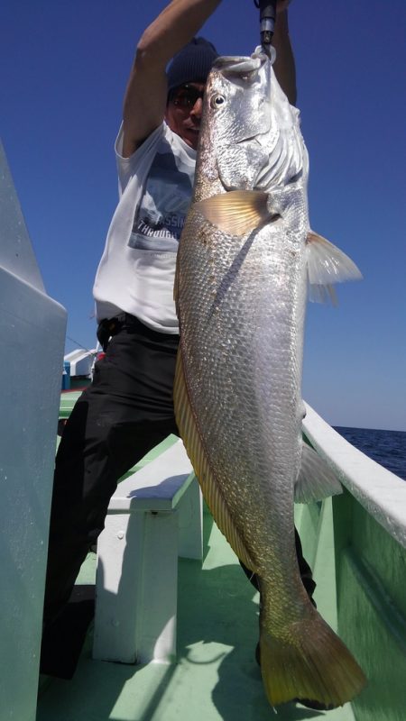 遊漁船 新鋭丸 釣果