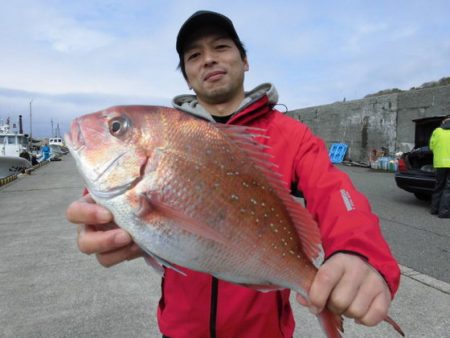 大進丸(新潟) 釣果