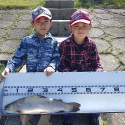 フィッシングレイクたかみや 釣果