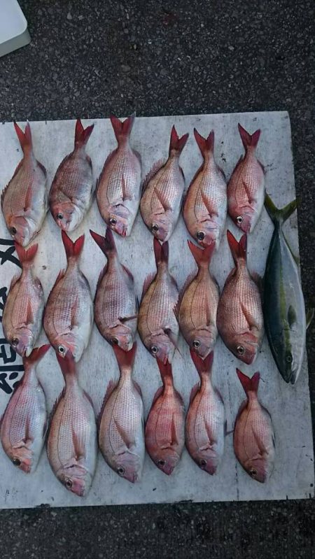 網屋丸 釣果