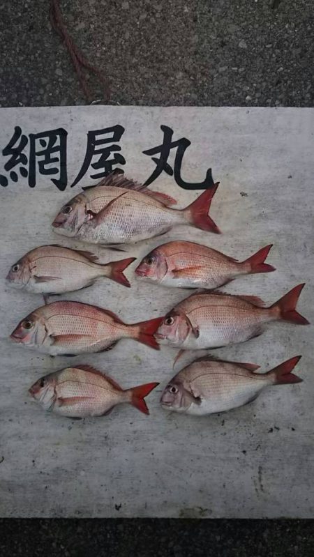 網屋丸 釣果