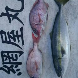 網屋丸 釣果