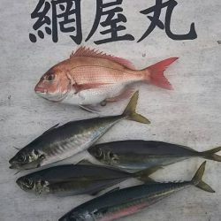 網屋丸 釣果