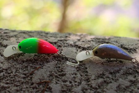 小菅トラウトガーデン 釣果