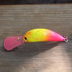 小菅トラウトガーデン 釣果