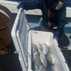 第五慶門丸 釣果