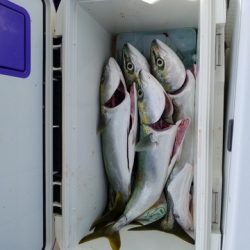 遊漁船　ニライカナイ 釣果