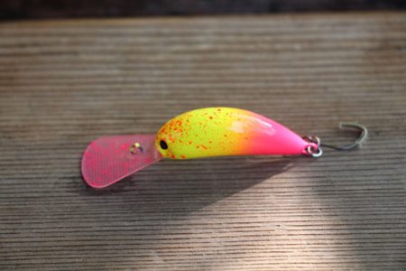 小菅トラウトガーデン 釣果