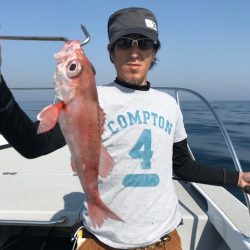 へいみつ丸 釣果