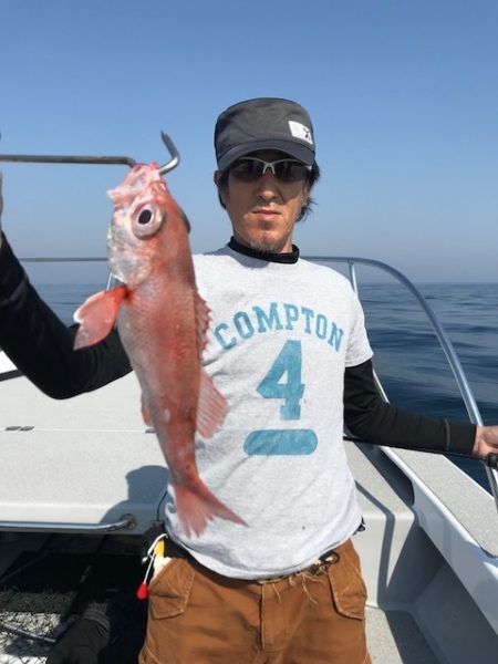 へいみつ丸 釣果