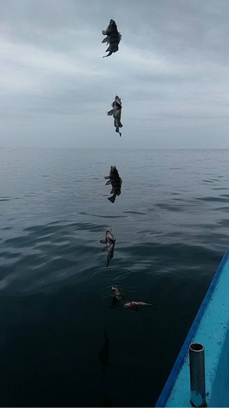 宝昌丸 釣果