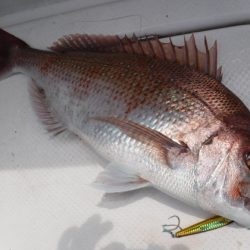 BlueNote Fishing Taxi 釣果