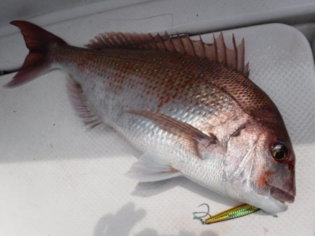 BlueNote Fishing Taxi 釣果