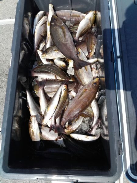 第二大福丸 釣果