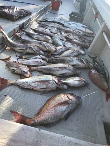 寿裕 （YOSHIHIRO） 釣果