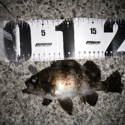 ショートバイトが多い