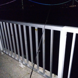 ショートバイトが多い