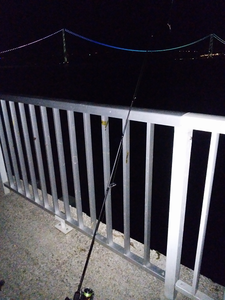 ショートバイトが多い