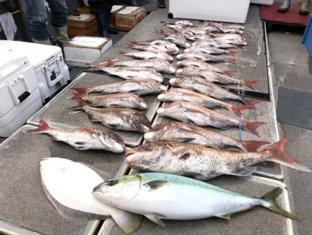 幸風（さちかぜ） 釣果