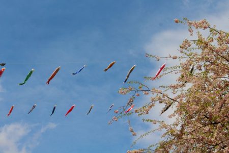 小菅トラウトガーデン 釣果