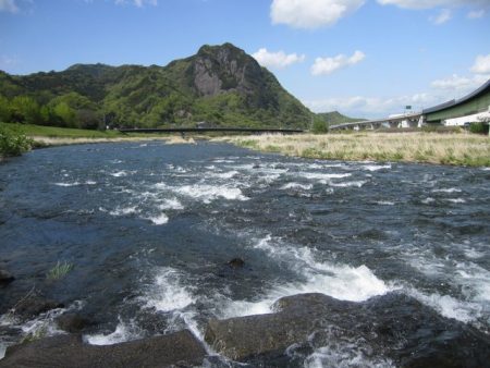 狩野川（狩野川漁業協同組合） 釣果