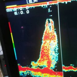 第五慶門丸 釣果