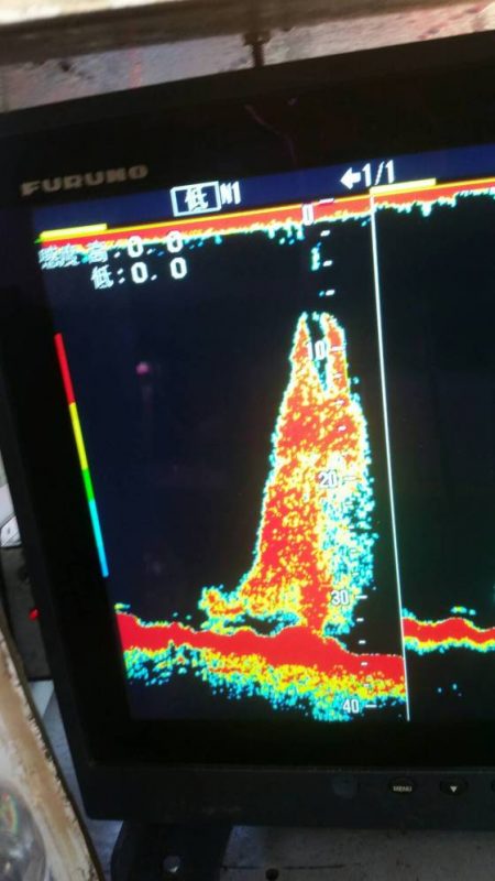 第五慶門丸 釣果