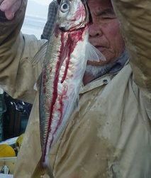 松福丸 釣果