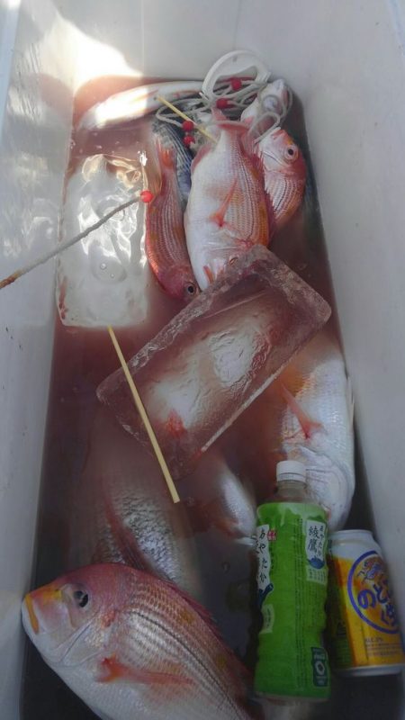 遊漁船 新鋭丸 釣果