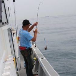 へいみつ丸 釣果
