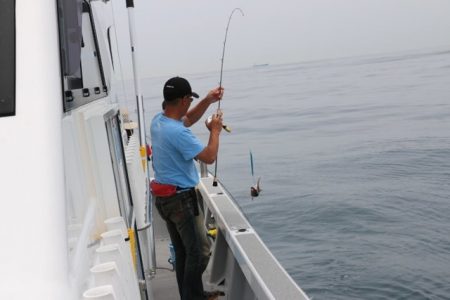 へいみつ丸 釣果