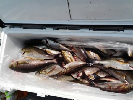 第二大福丸 釣果