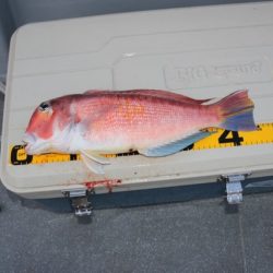 へいみつ丸 釣果