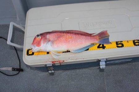 へいみつ丸 釣果