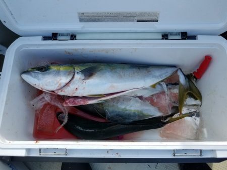 遊漁船　ニライカナイ 釣果