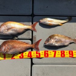 遊漁船高橋 釣果